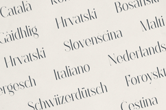 Sorrelia Elegant Display Serif Product Image 6