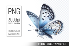 Cute Butterfly Clipart PNG, Valentine&#039;s Day Animal PNG File Product Image 1
