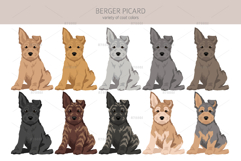 Berger Picard clipart Product Image 4