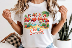 Hello Summer Flamingo PNG, Tropical Beach Sublimation Design Product Image 6