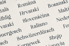 Dentra Refined Serif with Soul Product Image 6