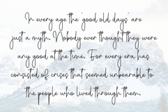 Winter Christmas Product Image 6