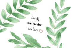 Watercolor plants wedding minimalist clipart digital paper Product Image 4