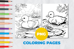 Duckling in the pondColoring Pages | Coloring book Product Image 1
