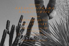 Gelapitto Script Font Product Image 6