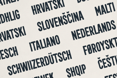 Solina Handdrawn Display Font Product Image 5
