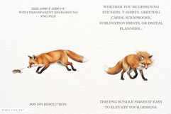 Summer Fox Meadow Clipart Product Image 2