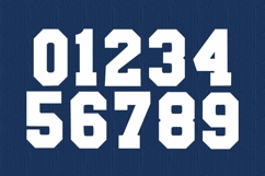 Support System Product Image 6