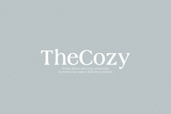 Horizon - Modern Serif Product Image 6