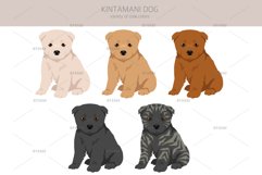 Kintamani Bali dog clipart Product Image 4