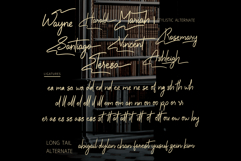 Boundless Wing Handwritten Font Product Image 7