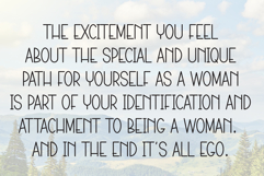 Traveler Summer Product Image 6