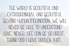 Vintage Enjoy Product Image 6