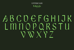 Calligrafia Product Image 5