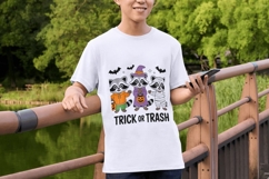 Funny Halloween Goose &amp; Raccoon PNG Bundle 300 DPI Product Image 6