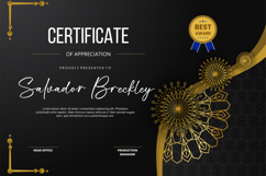 Cintarini Handwritten Font Product Image 6