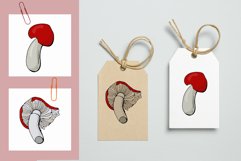 Russula mushrooms - collection Product Image 6