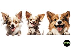 Breeds Of Peeking Dogs Collection Product Image 1