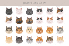 Domestic longhair cat Product Image 5