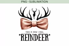 This is How I Feel Reindeer PNG, Cute Retro Coquette Product Image 4