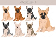 Norwegian Buhund clipart Product Image 3