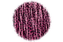 Abstract Animal Skin Sublimation Designs. Product Image 5