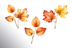 Golden leaves Product Image 5