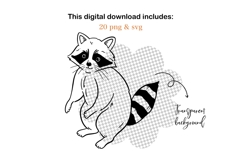 Hand-Drawn Raccoon Clipart PNG SVG Product Image 5