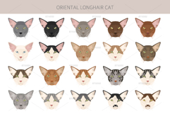 Oriental Longhair cat Product Image 5