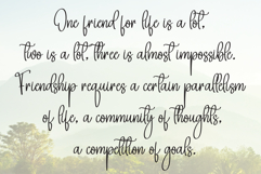 Sunflower Signature Product Image 6