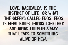 Garage Vintage Product Image 6