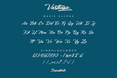 Vartensie Script Font Product Image 6