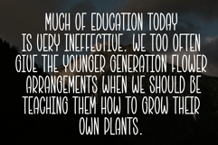 Christmas Lanterns Product Image 6