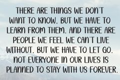 Chubby Vintage Product Image 6