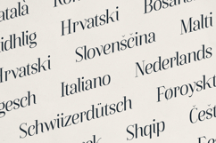 Eldure Timeless Serif Font Product Image 6