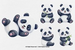 15 Bundle Watercolor Cute Panda Animal Bamboo Baby Cute Product Image 6