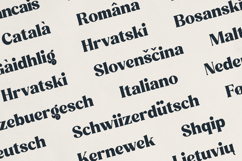 Quindle Retro Serif Display Font Product Image 6