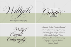 Royale Script Collection Fonts Bundle Product Image 6