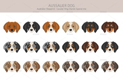 Aussalier dog Product Image 5