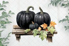 Black Pumpkins Sublimation Clipart Product Image 1