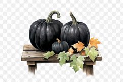 Black Pumpkins Sublimation Clipart Product Image 2