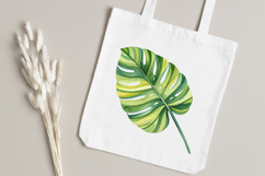 Tropical Leaves PNG, Watercolor Tropical Leaf Clipart Bundle Product Image 5
