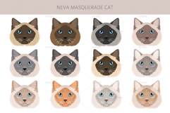 Neva Masquerade cat Product Image 5