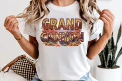 Grand Canyon PNG, Vintage National Park Eagle Sublimation Product Image 6