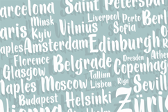 Baggy Pants Product Image 4