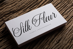 Gastonia Script Product Image 6