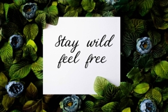 Wild Faroes Cyrillic Font Product Image 6