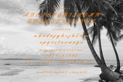 Paline Stylish Script Font Product Image 6