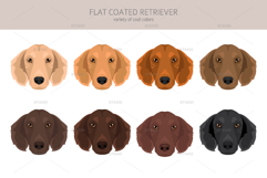 Flat Coated Retriever clipart Product Image 5