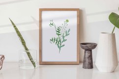 Wildflowers Set of 3 Prints Wall Art Product Image 6